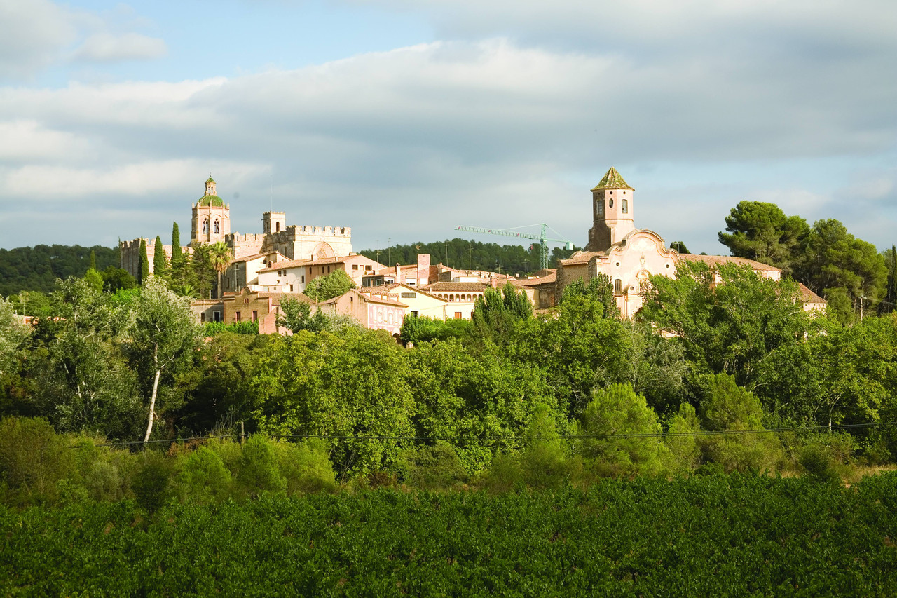 Monestir de Santes Creus. Copyright Miguel Raurich