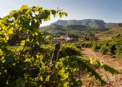 Route du vin dans le Priorat et le Montsant