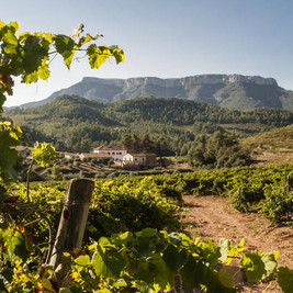 Route du vin dans le Priorat et le Montsant