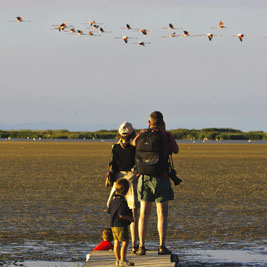 10 lieux incontournables pour observer les oiseaux en Catalogne