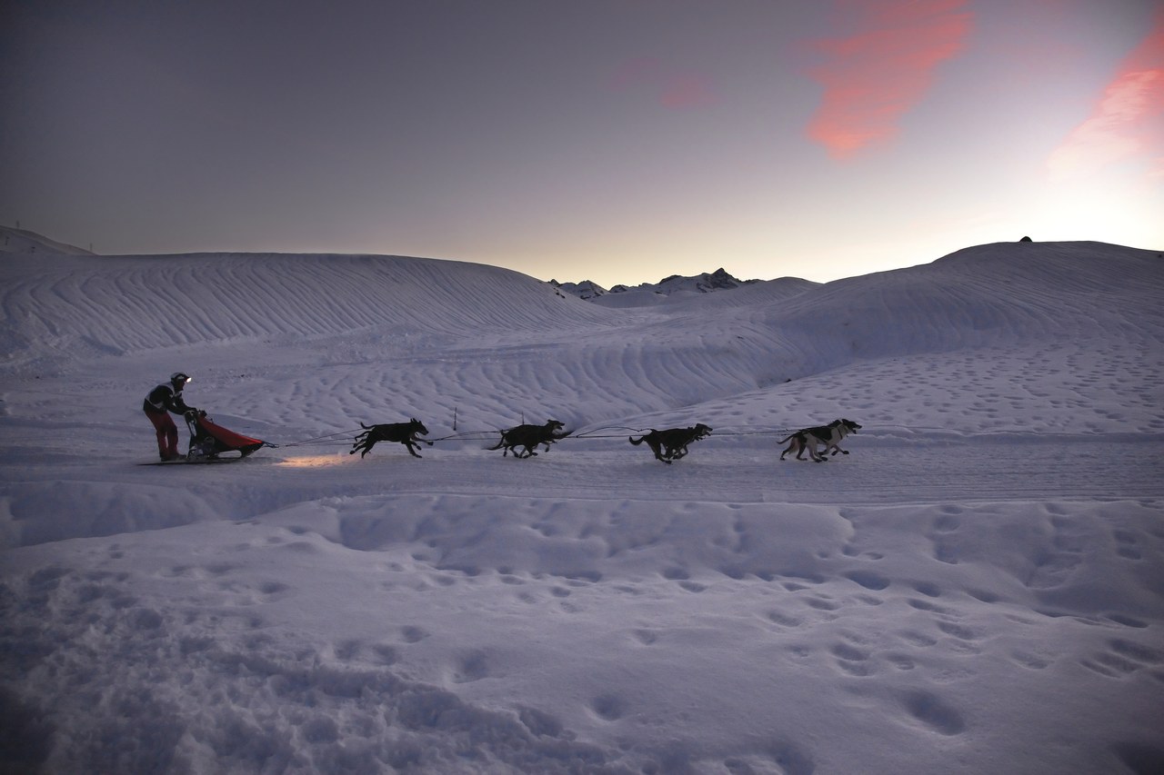 Chiens de traîneaux à Baqueira Beret