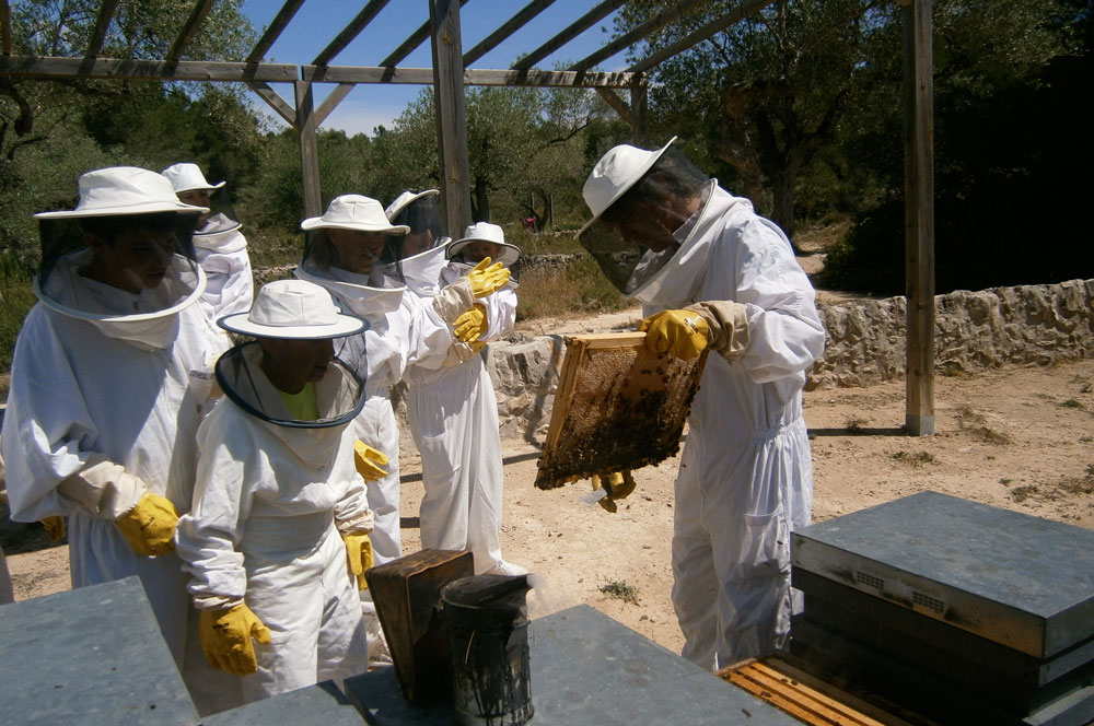 Séance d'apiculture © Mel Muria, Baix Ebre