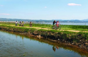 Excursion en vélo dans le Parc Naturel du Delta de l'Ebre - Ampolla - Terres de l'Ebre (Copyright : Tina Bagué - ACT)