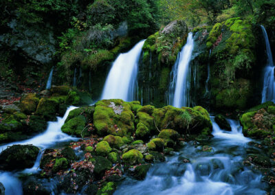 Castellar de n’Hug, un cadre naturel unique