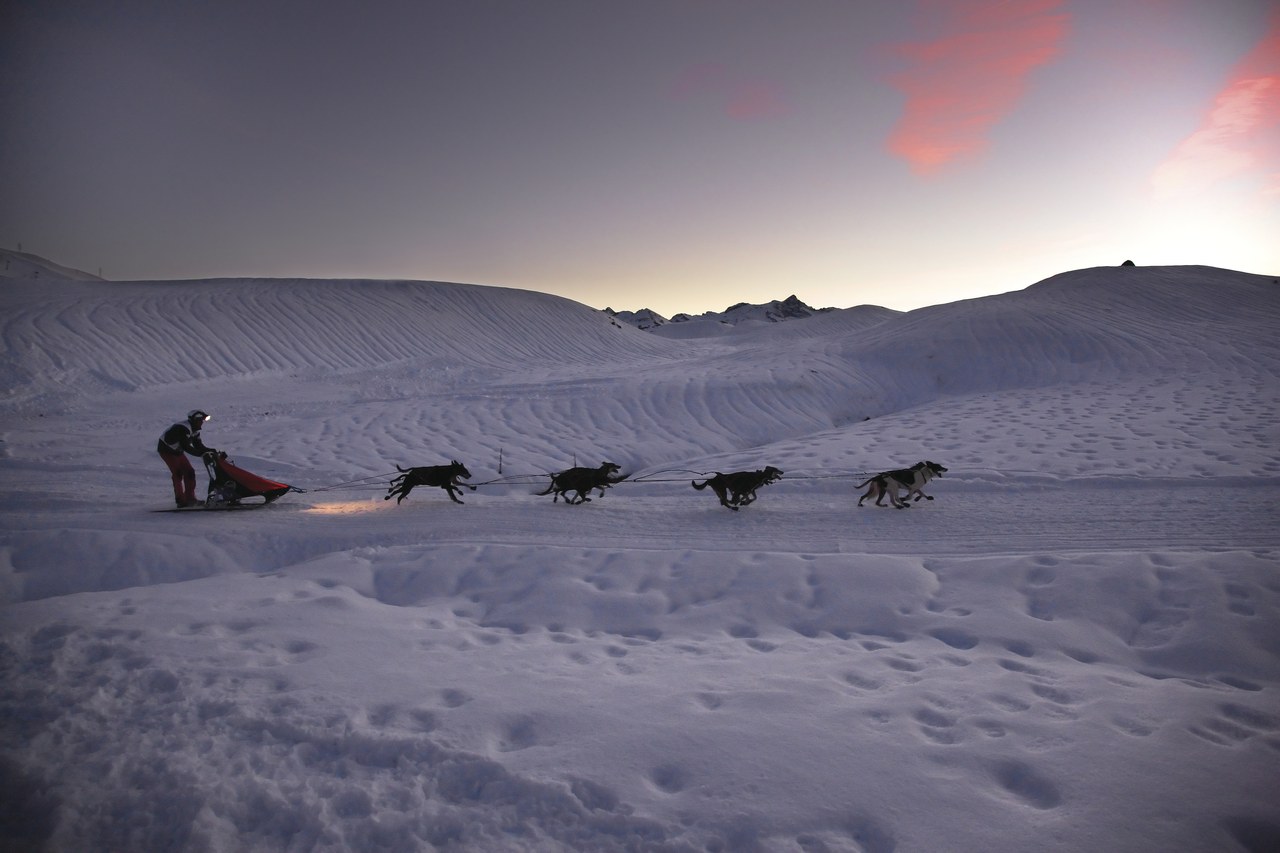 Un musher et son attelage, chiens de traineaux sur le plateau de Baqueira Beret