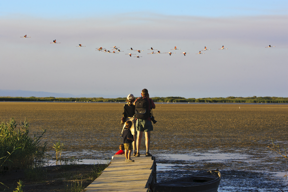 Observation des oiseaux. Crédit photo: Patronat de Turisme de Terres de l'Ebre