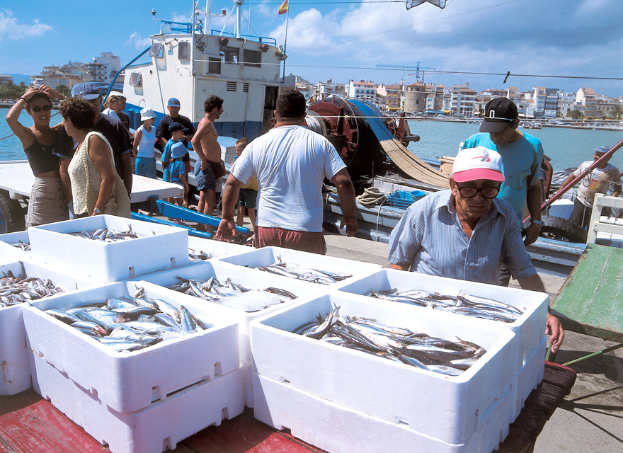 L'arrivée du poisson à Cambrils - photo Patronat de Turisme de la Diputació de Tarragona