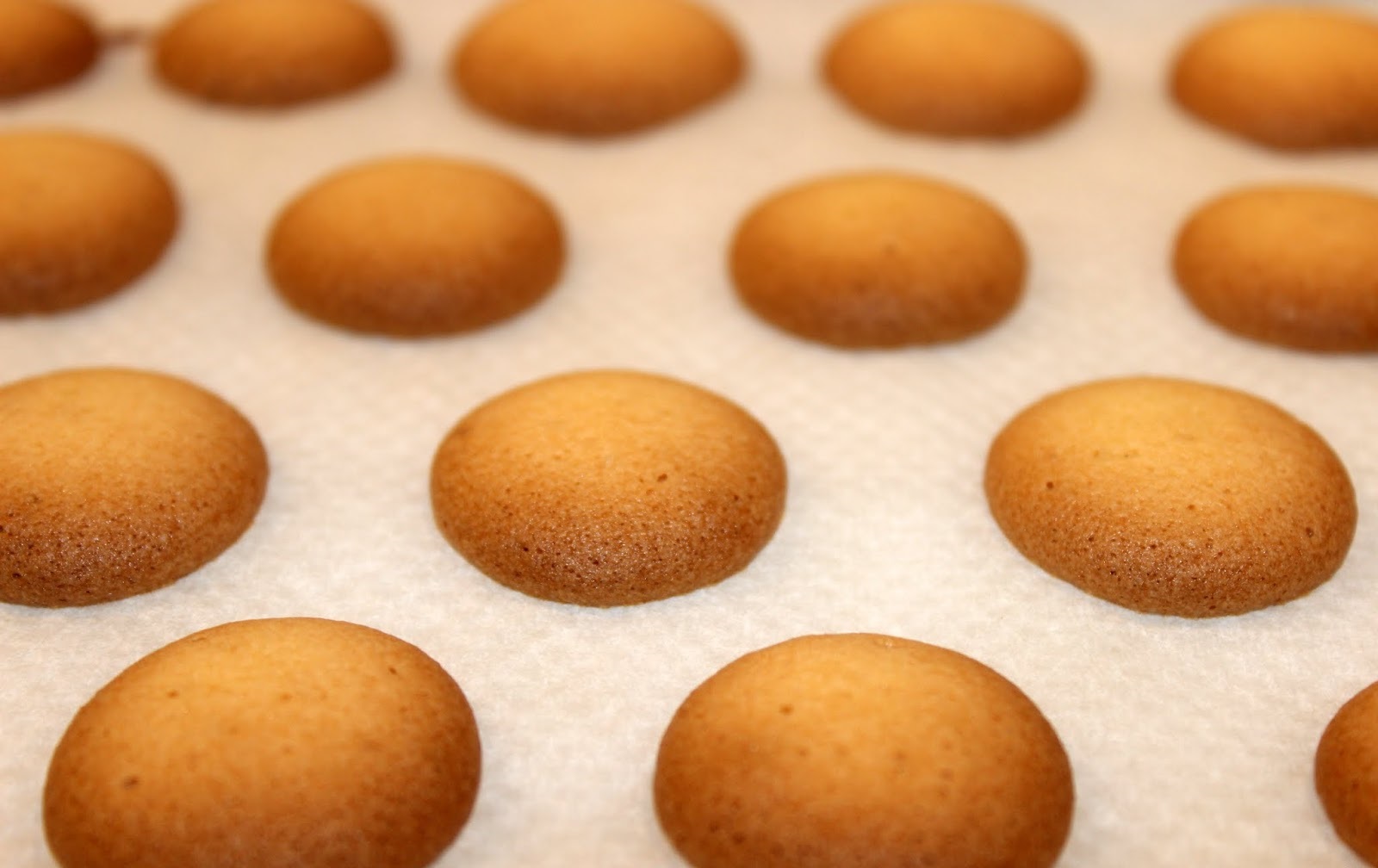 Top 10 Des Patisseries Catalanes Catalunya Experience Top 10 Des Patisseries Catalanes Catalunya Experience