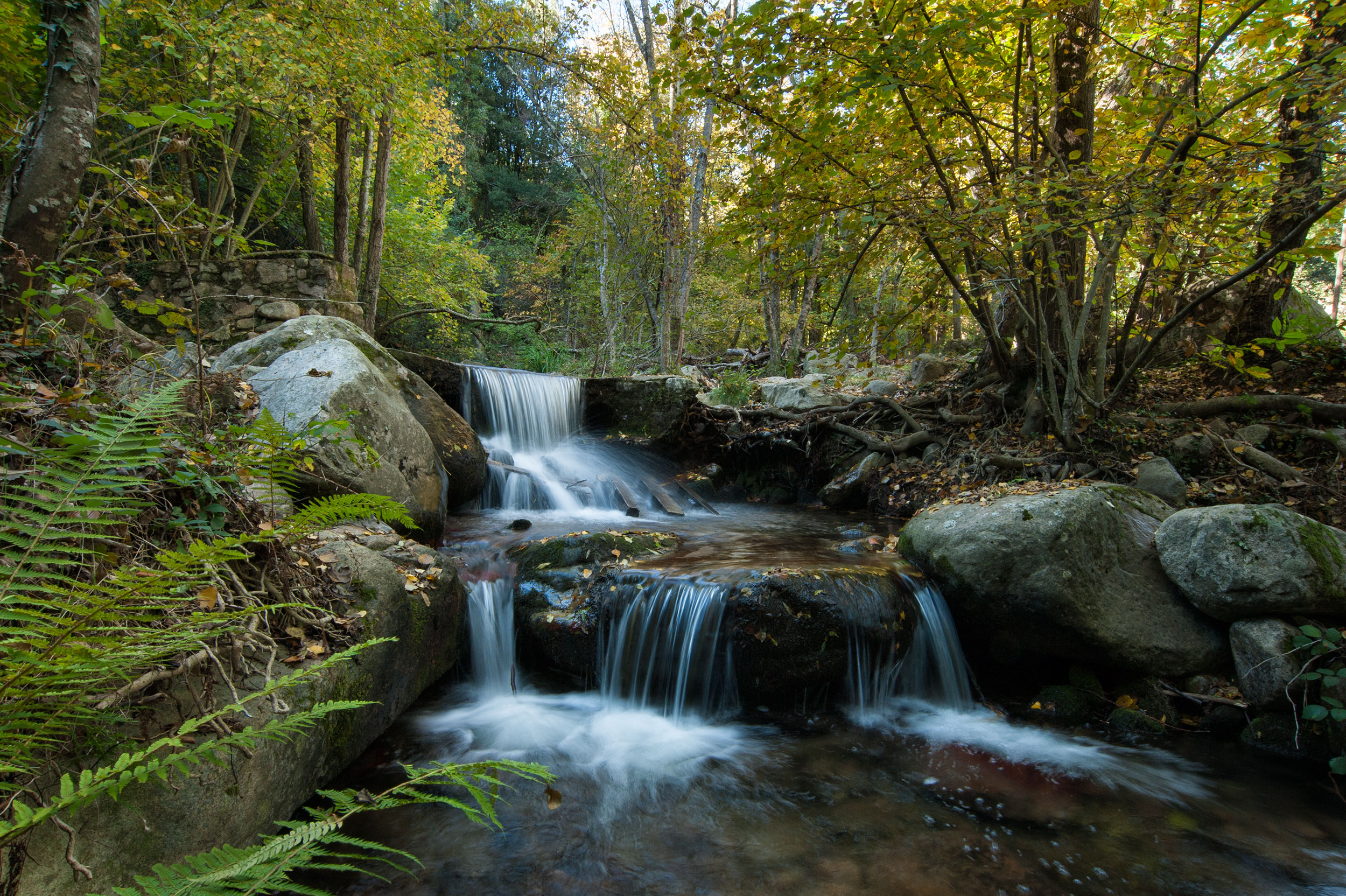 Rivière au coeur de la forêt de Montseny