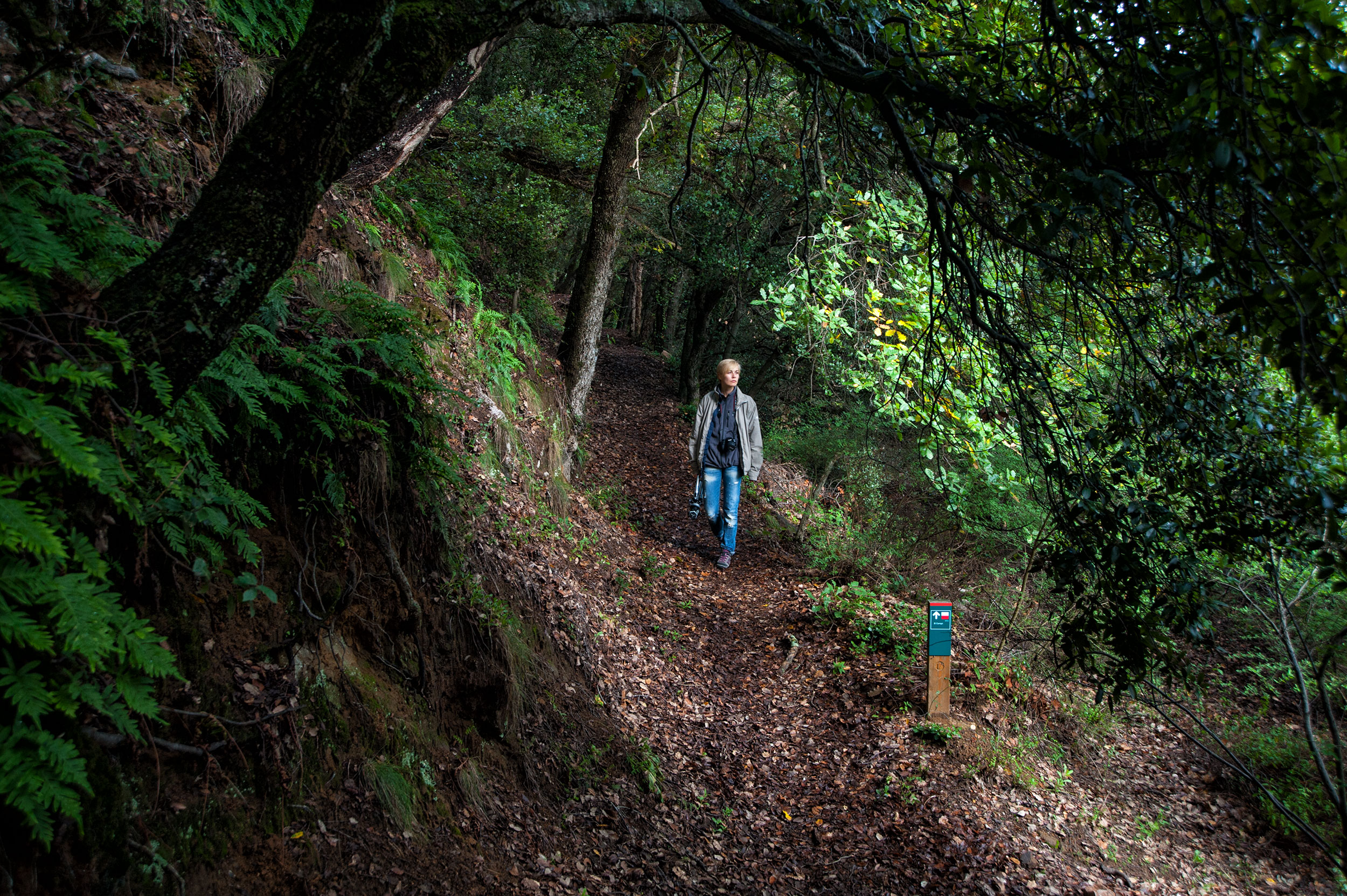 Randonnée dans le Parc Naturel de Montseny