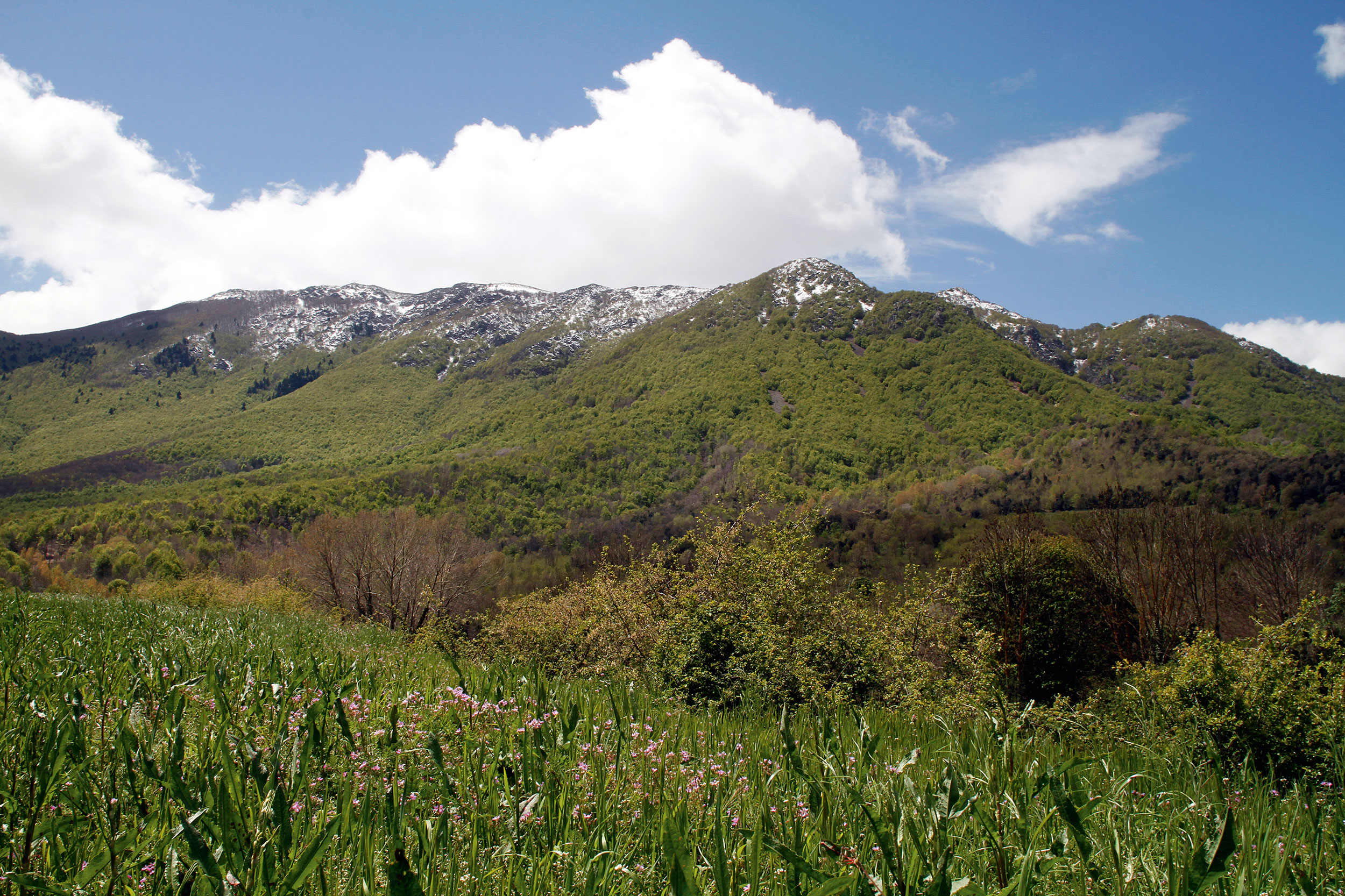 Paysages du Parc Naturel de Montseny, réserve de la biosphère.