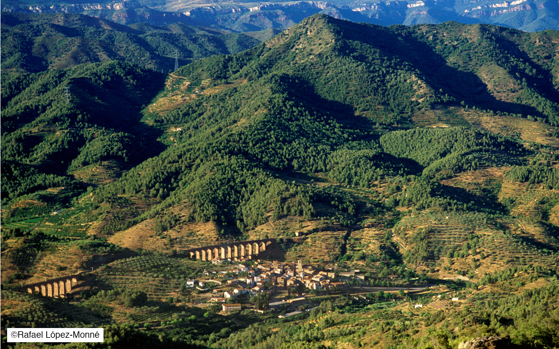 Riudecanyes et le château Escornalbou