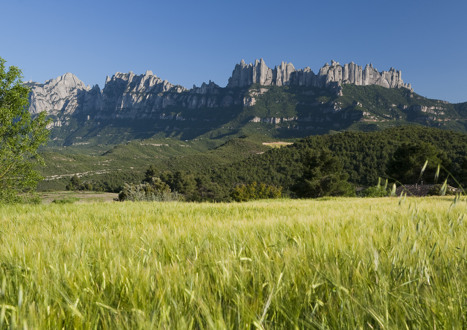 AVE passant per Sant Sadurní d'Anoia ©Gemma Miralda