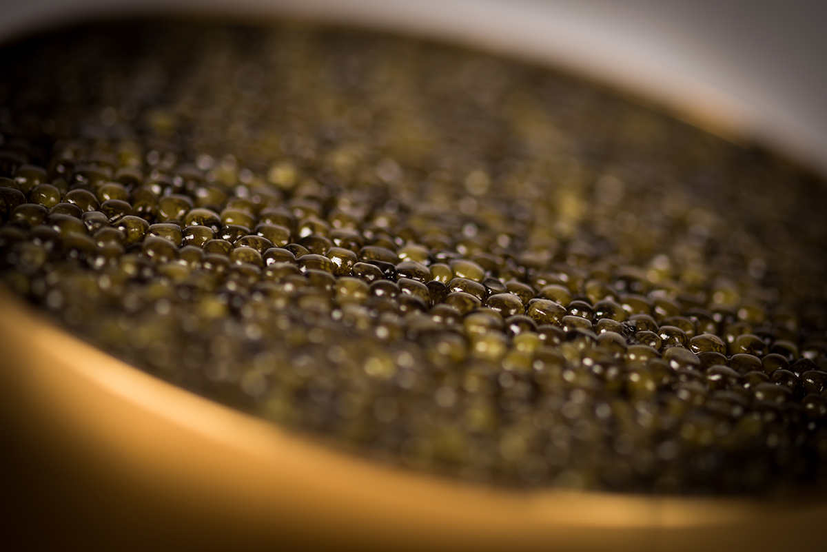Caviar Catalogne
