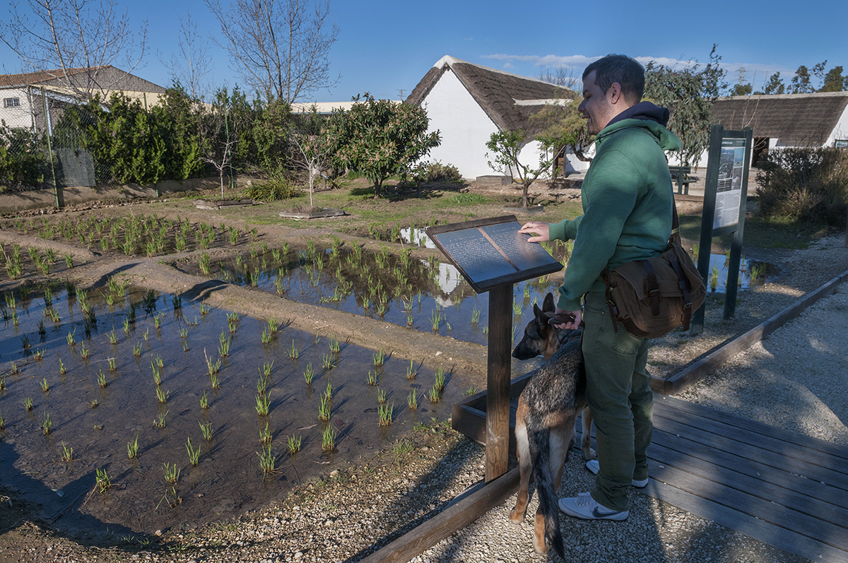 Ecomuseu, Parc Natural del Delta de l'Ebre