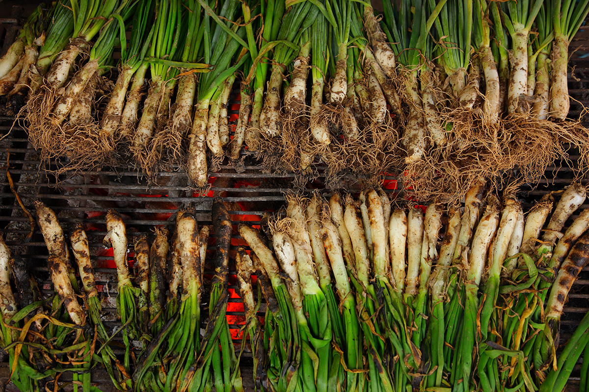 Calçots