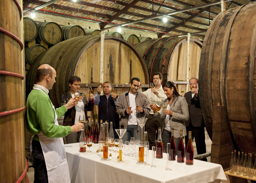 Dégustation de Brandy à la Cave Torres