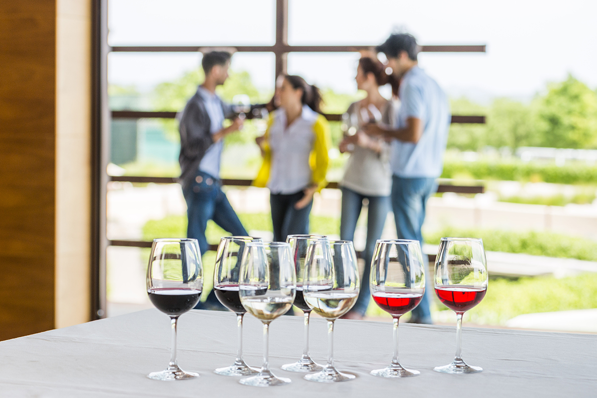 Dégustation de vins des Caves Torres 