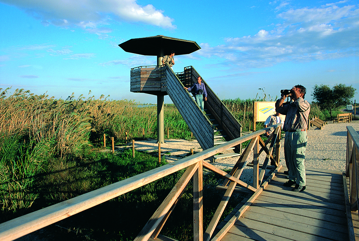 Parc Naturel du Delta de l'Ebre