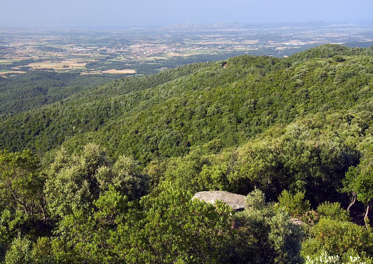 Serra de les Gavarres