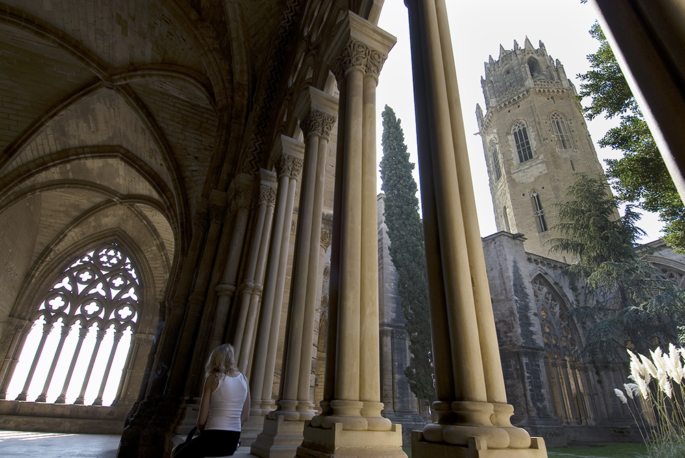 Seu Vella, Lleida