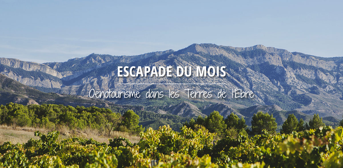 Vignes dans Terres de l'Ebre © Patronat de Turisme de les Terres de l'Ebre