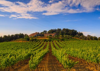 24h à Vilafranca del Penedès