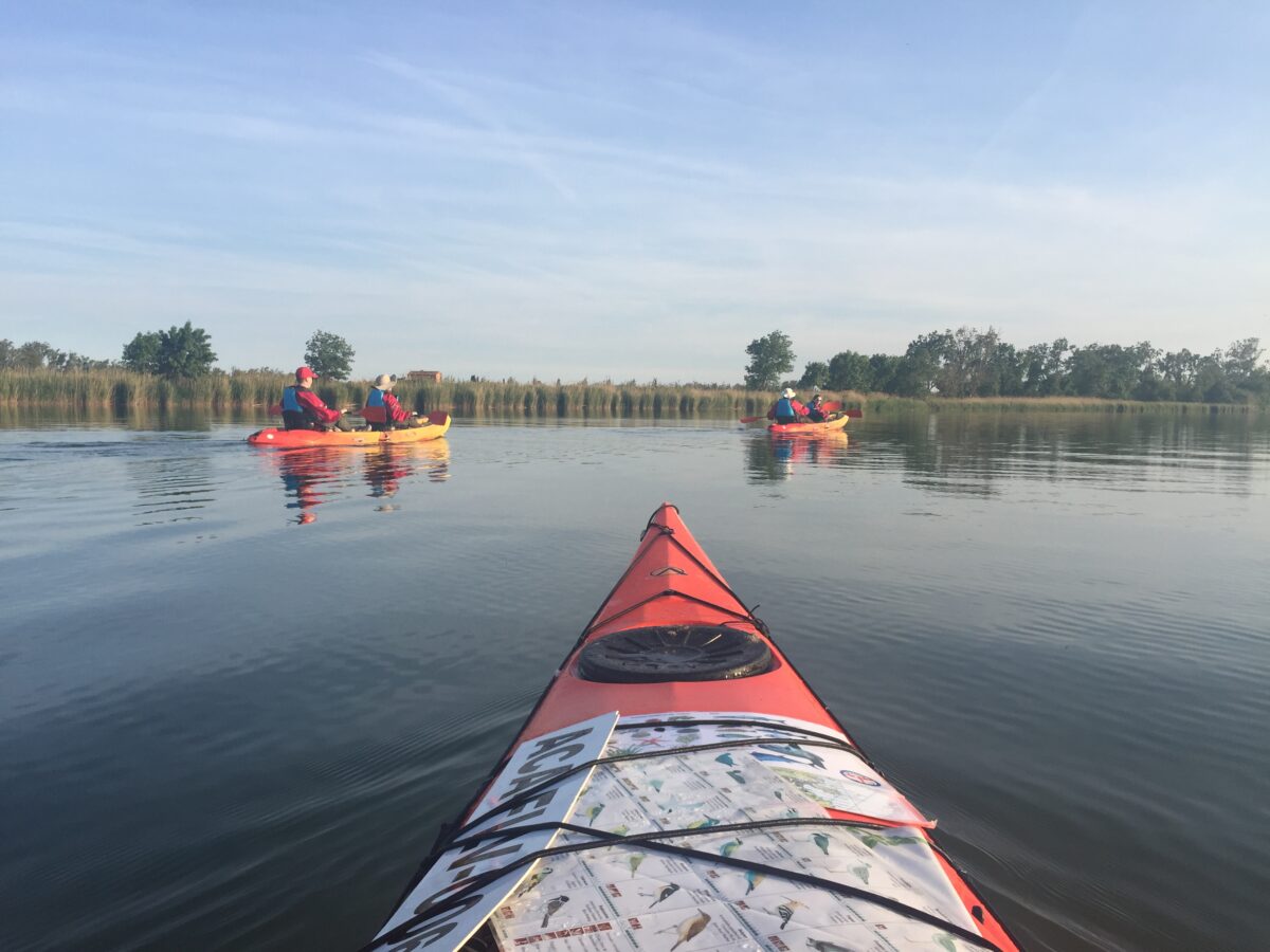 Kayak dans le parc naturel Aiguamolls de l'Empordà (Costa Brava)