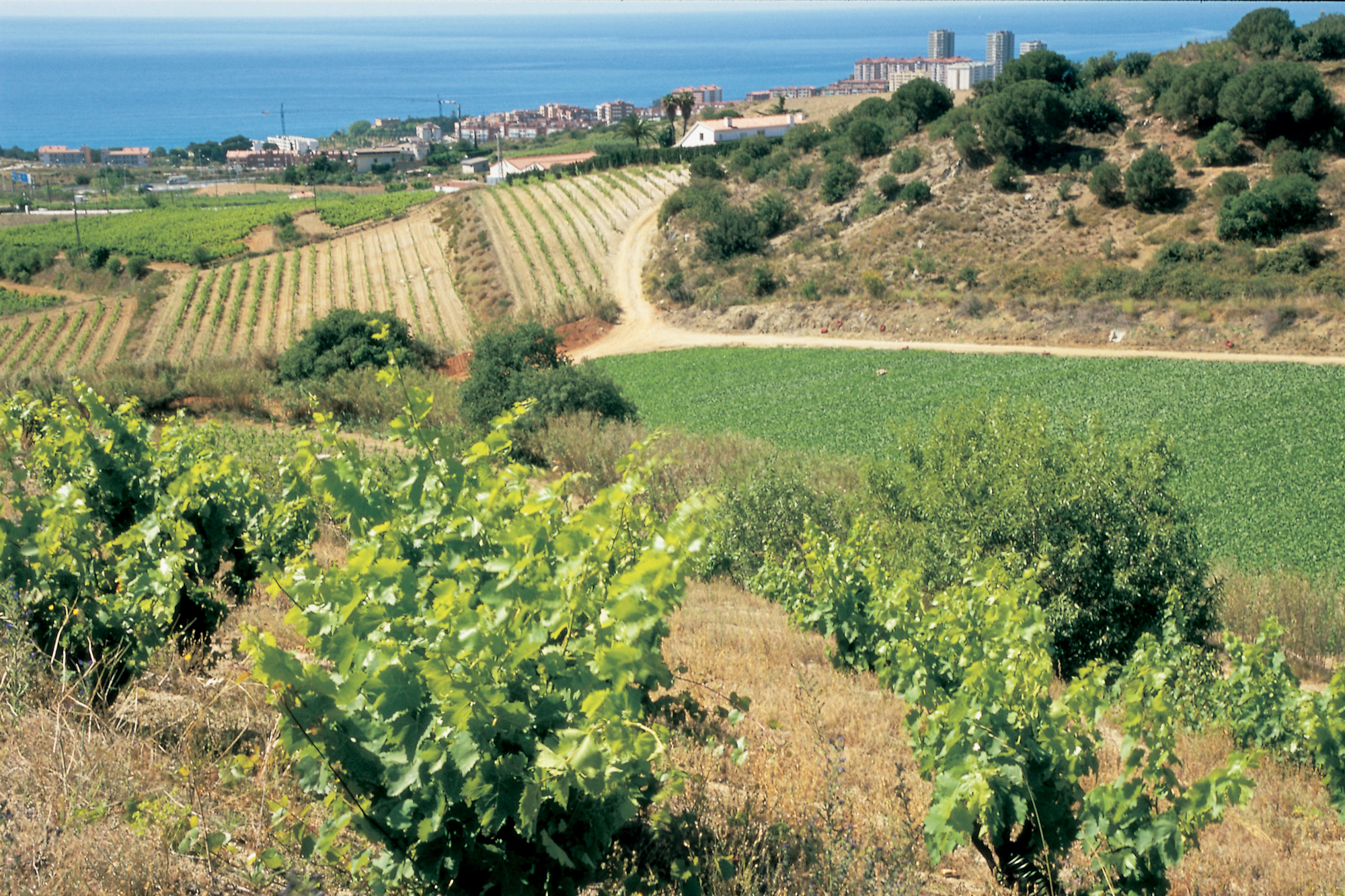 Bains Arabs à Girone