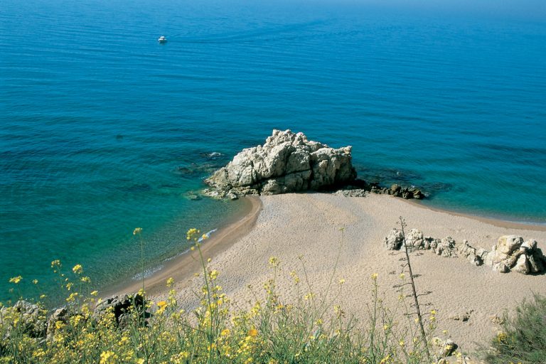 Platja-de-les-Roques---Turismo-Verde-S.L.