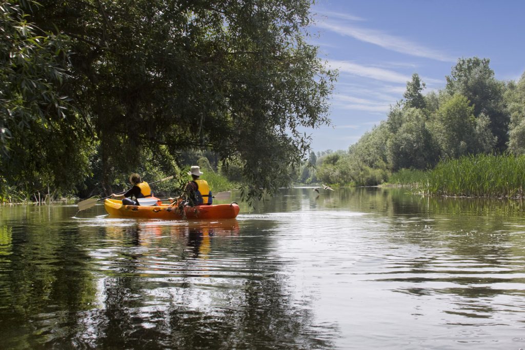 Kayak sur le Ter (Costa Brava)