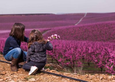 Escapade gourmande sur les routes du fruitourisme