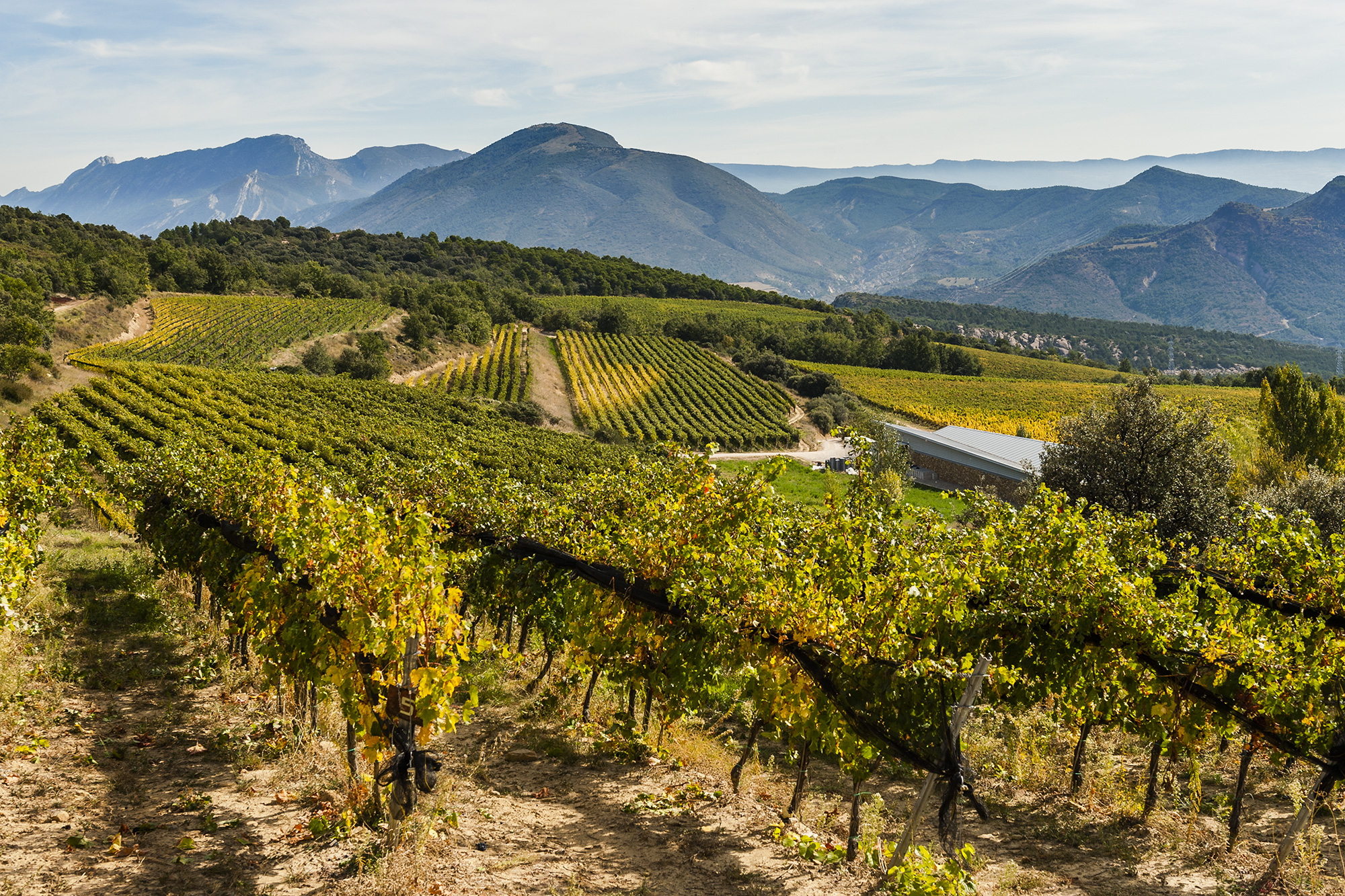 Vignobles du Priorat