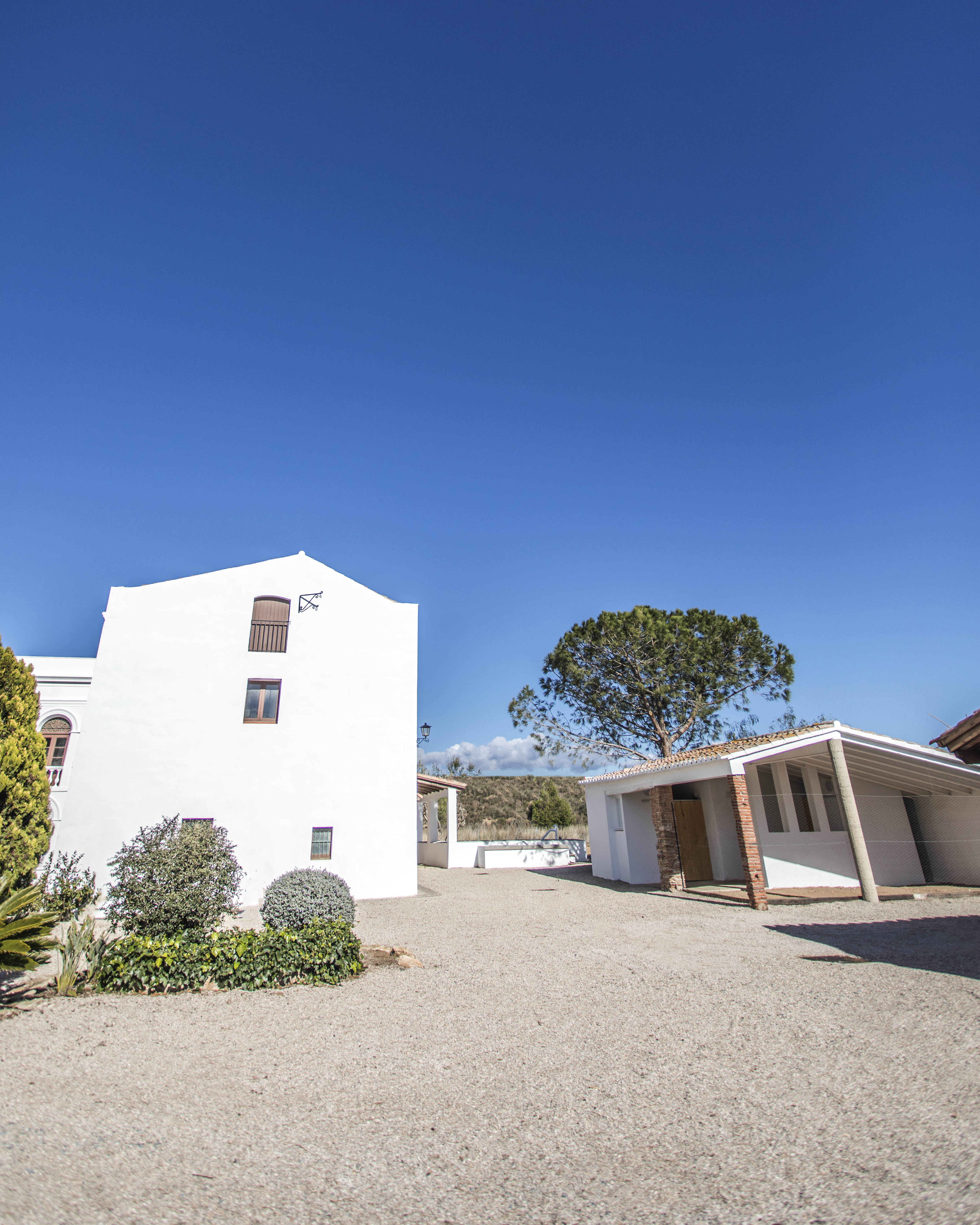 Fondation Joan Miró