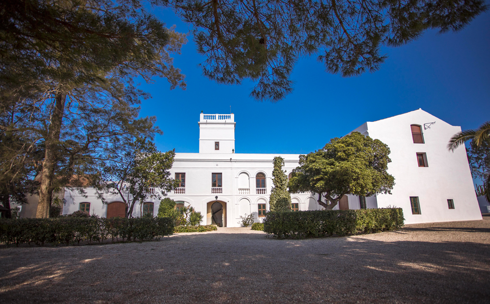 Fondation Joan Miró