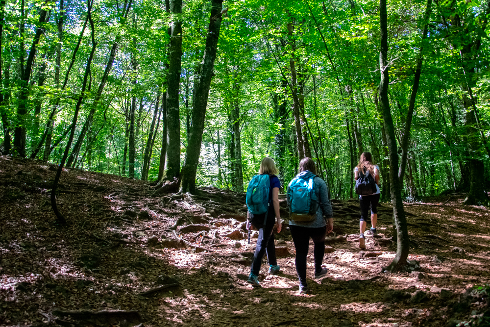 Fageda d’en Jorda © My Destination