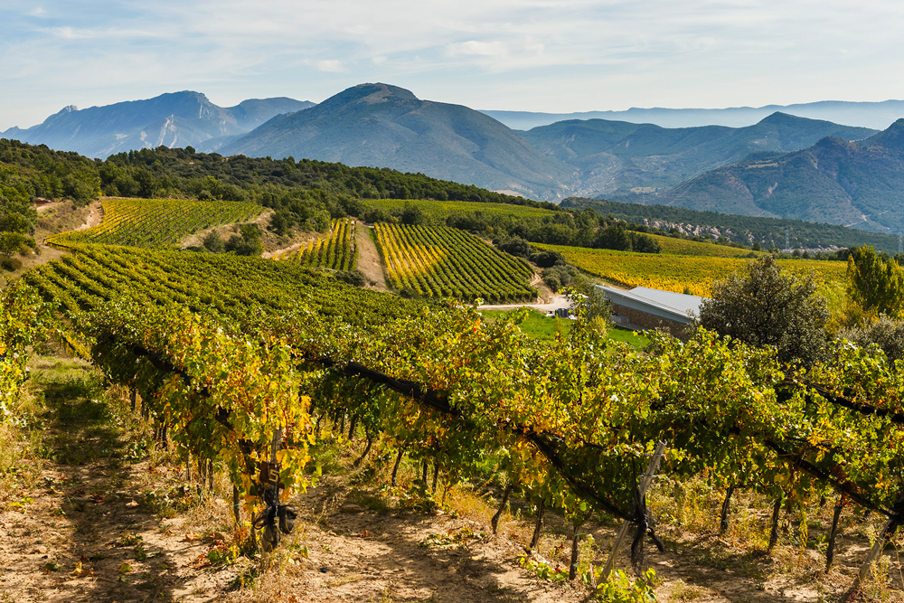 Vignobles de Priorat