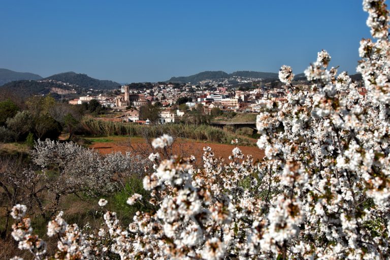 Caldes de Montbui