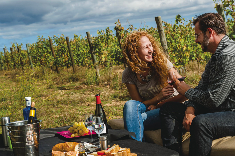 Sur la route des vins de l'Empordà