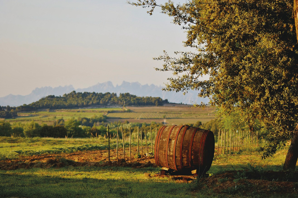 Route des vins de Penedès