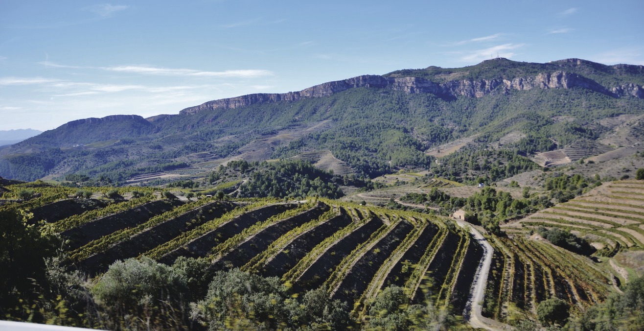 Route des vins de Priorat