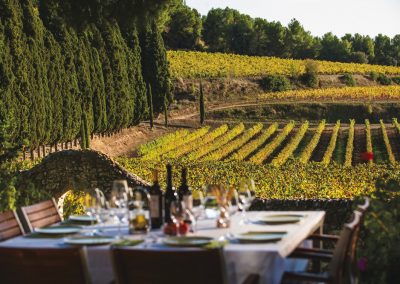 La Verema del Cava : vivez les vendanges dans le Penedès !