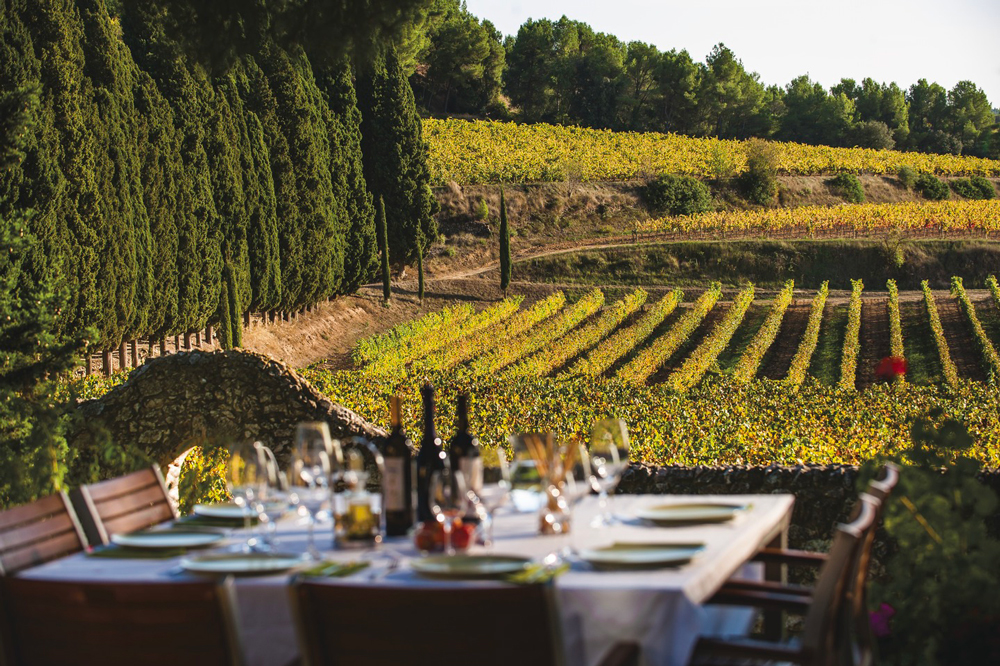 Vins de Penedès