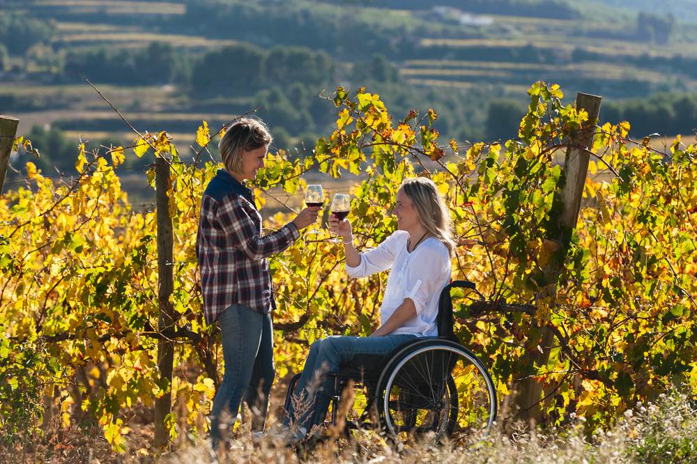 Vignoble St Sadurni D'Anoia