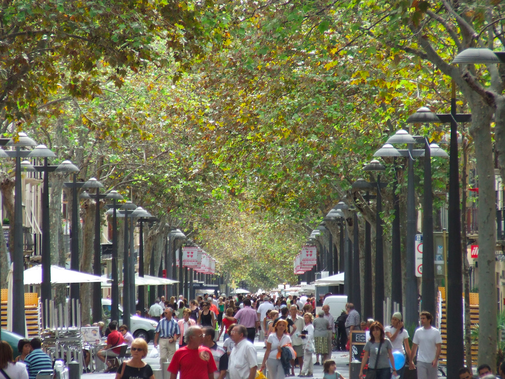 Xató © Ajuntament de Vilanova i la Geltrú