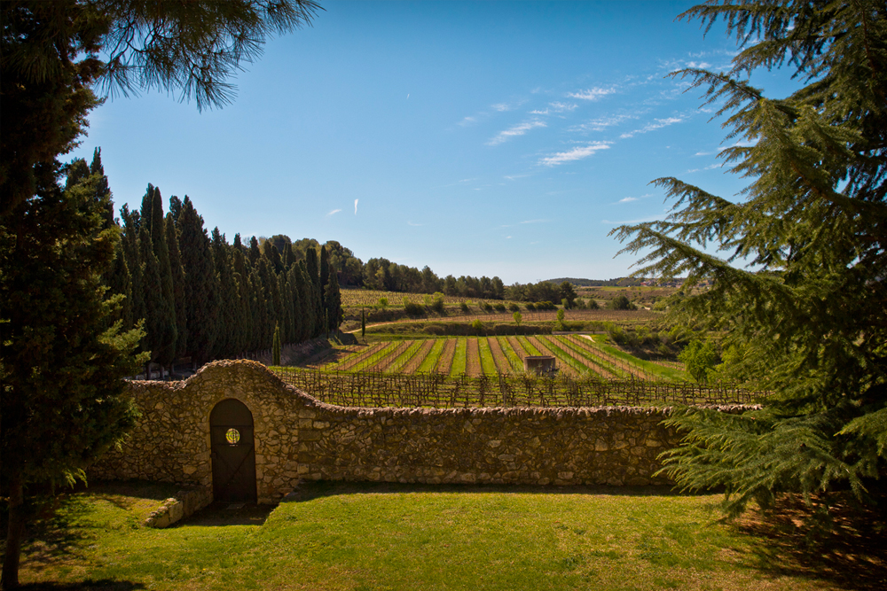 Vilafranca-del-Penedès,-Vinyes-Albet-i-Noya---©-Adeline-Gressin---ACT