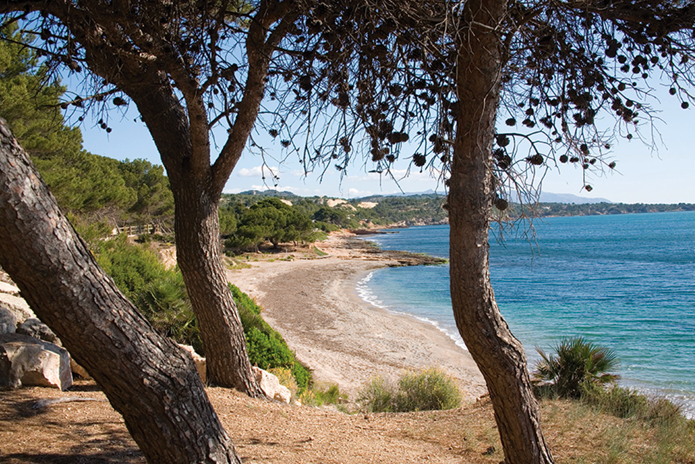 Platja Santa Llúcia LAmpolla © Miquel Raurich