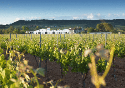 Dormir au milieu des vignes catalanes