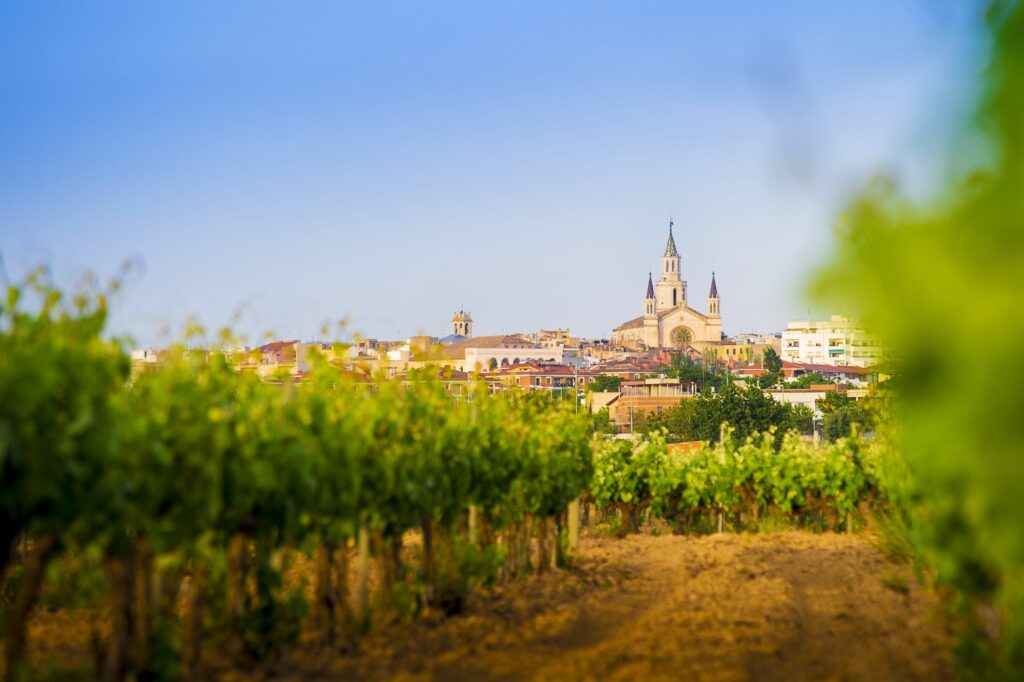 © Servei Promoció Turística Ajuntament De Vilafranca Del Penedès