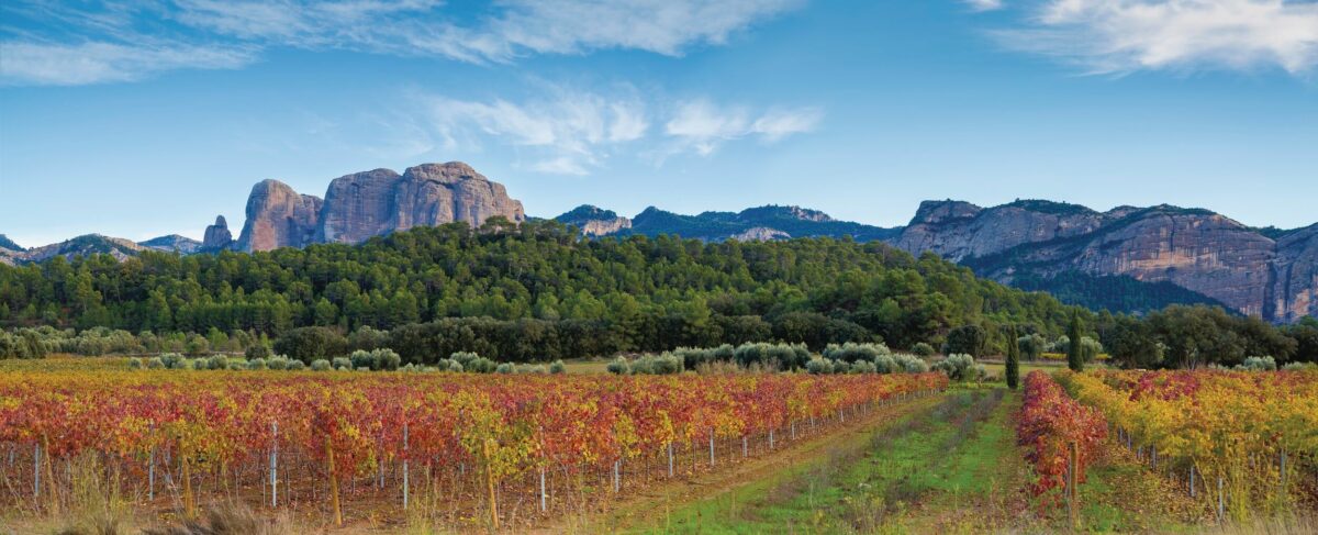 Vue du Parc Naturel Els Ports, situé dans les Terres de l'Ebre (Catalogne)